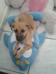 Sam
