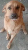 Shake