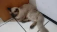 sem nome