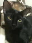 Nina