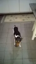teko