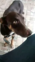 Billy