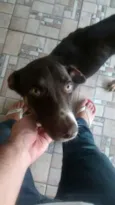 Billy