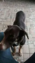 Billy