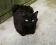 Nina