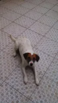 Tito