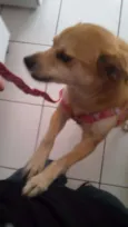 Princesa
