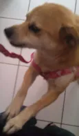 Princesa