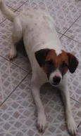 Tito