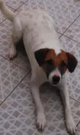 Tito