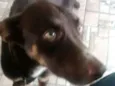 Billy