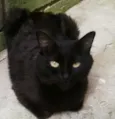 Nina