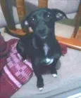 Marley