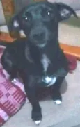 Marley