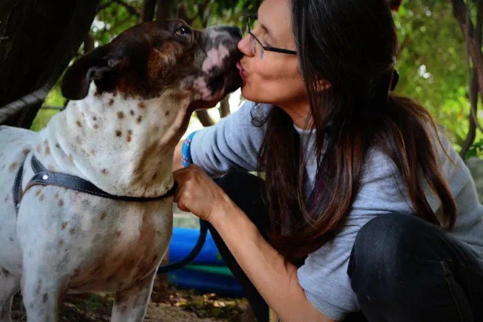 Cachorro ra a Srd idade 5 anos nome José