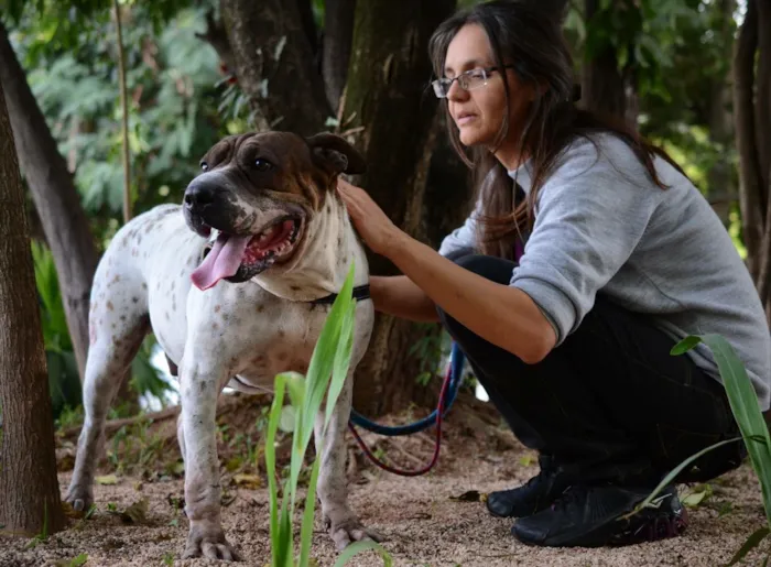 Cachorro ra a Srd idade 5 anos nome José