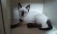 Ritinha