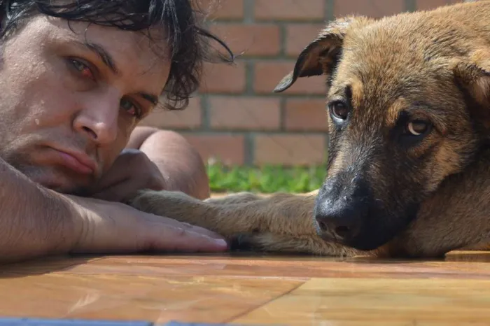Cachorro raça Fila  com Pastor idade 7 a 11 meses nome Bravo