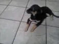Fred