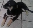 Fred