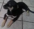 Fred