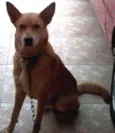 Crash