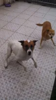 Tito e Princesa