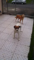 Tito e Princesa