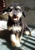Bob