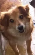 Caco
