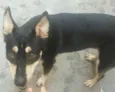Chico
