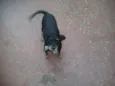Soco
