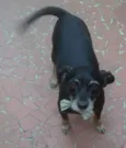 Soco