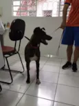 Jujuba