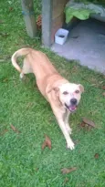 Bolinha