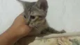 Huguinho Zezinho Lu