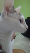Meggie e filhos