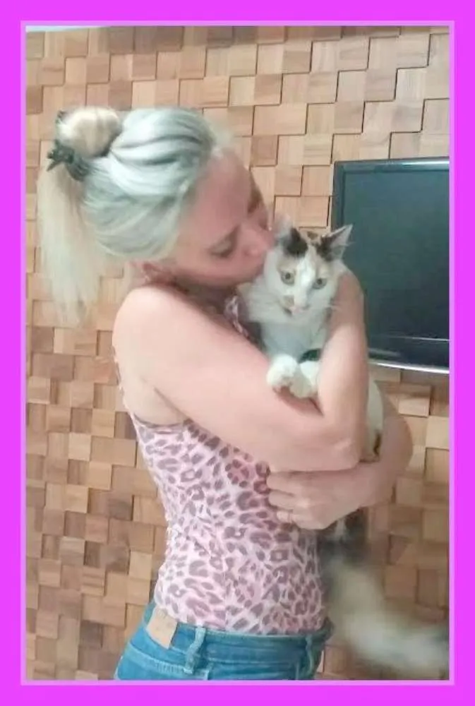 Gato raça Angorá idade 2 a 6 meses nome Crystal