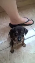 marley