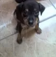 marley