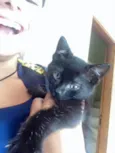 Miu
