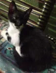 Mia