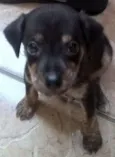 marley