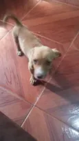 Ainda não possui um