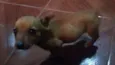 Ainda não possui um