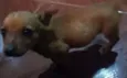 Ainda não possui um
