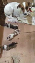 Mãe e bebes