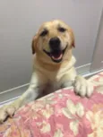 kiara