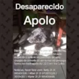 Apolo