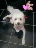 Bella